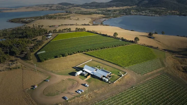 Bangor-Vineyard-Winery-Tasmania