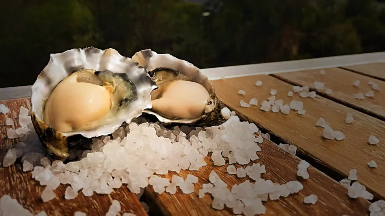 Barilla Bay Oysters banner