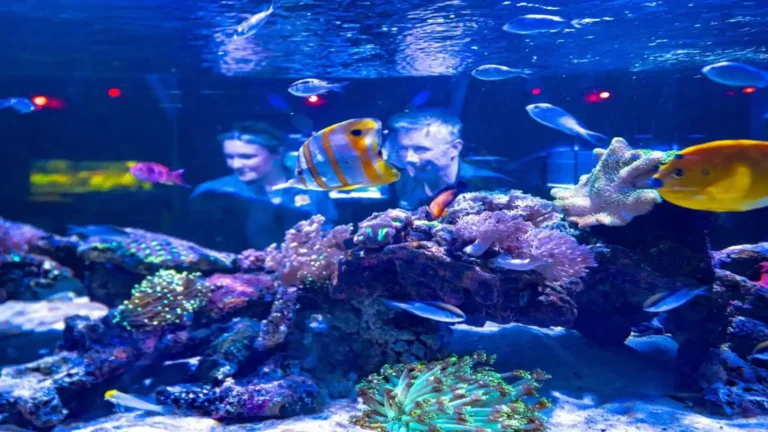 Hobart Zoo & Aquarium