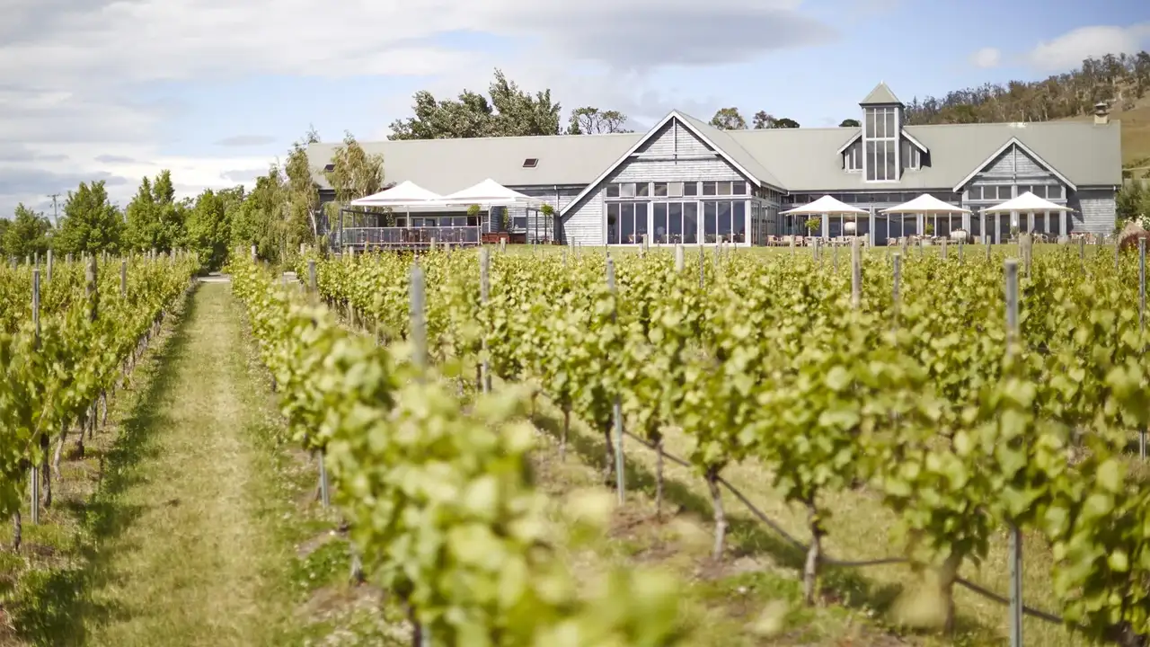 frogmore creek vineyards