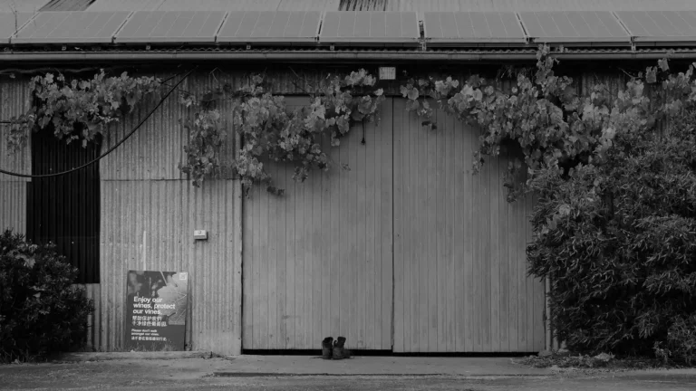 pressing matters banner