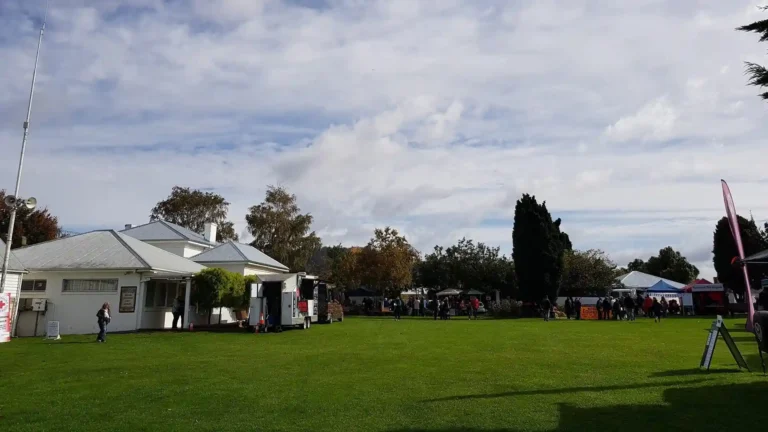 richmond village fare