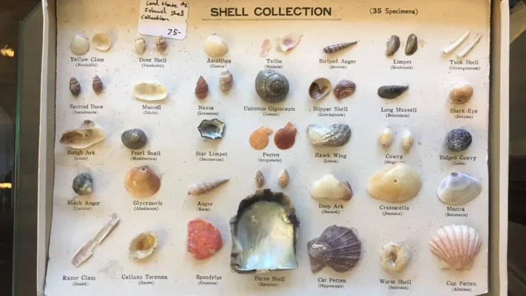 walkers walker banner